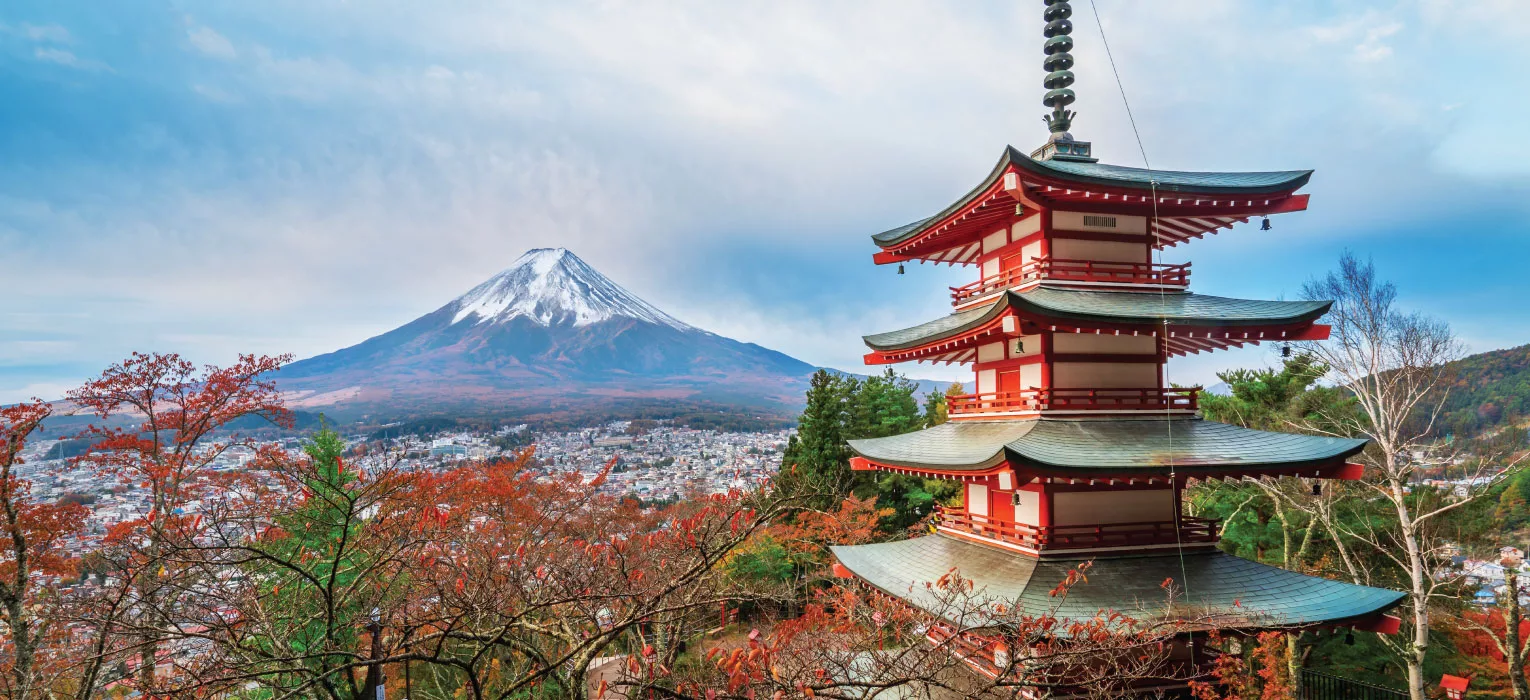 Top 5 Best Locations to Enjoy the Cherry Blossoms of Japan